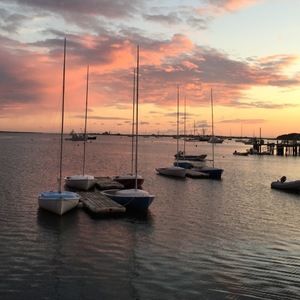 Meet your Posher, Maya